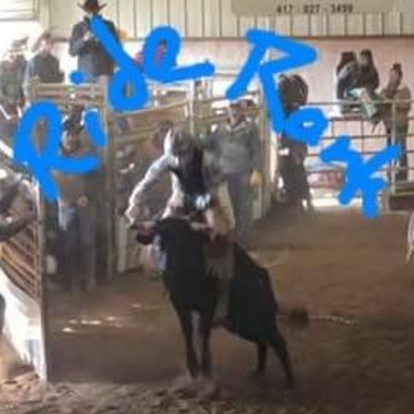 Meet your Posher, Homer - Picture 1 of 1